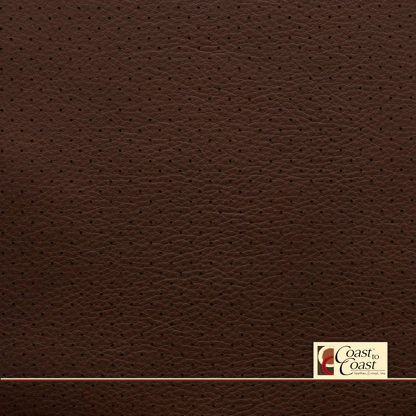 Ford King Ranch Brown Small Hampton (1/4In) Vinyl